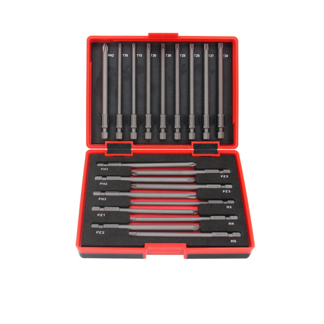 T-B019 Bitsset - 19 delar, 100 mm
