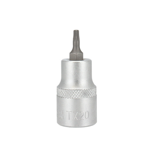Hylsbits TXT20 x 55 mm