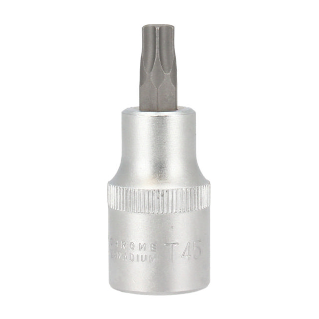 Hylsbits TX45 x 55 mm
