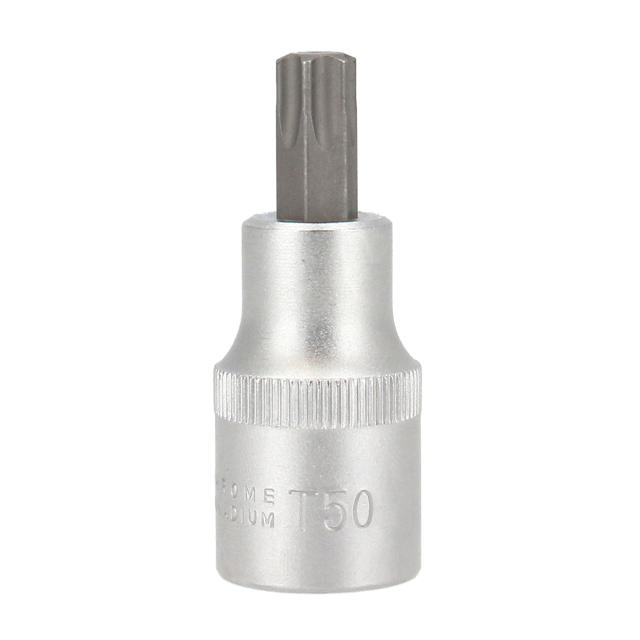 Hylsbits TX50 x 55 mm