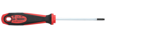 Skruvmejsel Torx 20 × 100 mm