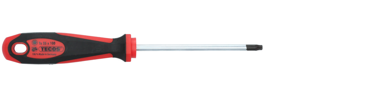 Skruvmejsel Torx 25 × 110 mm