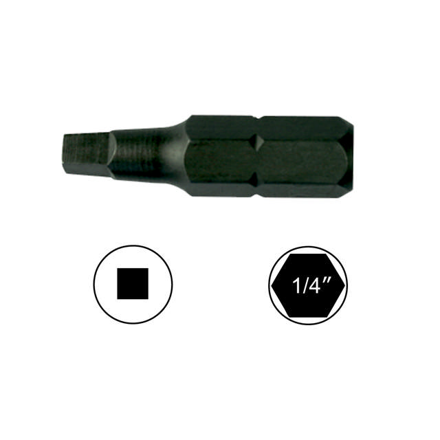 S2 Bits Robertson